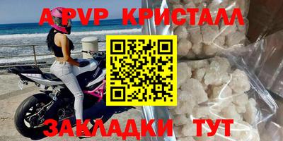 стаф Тара