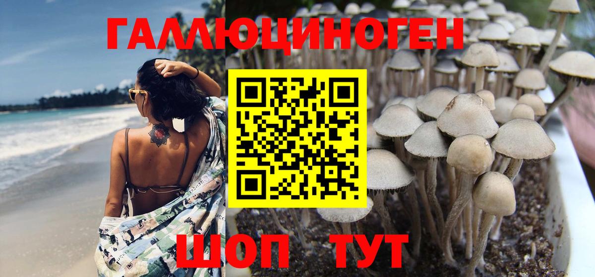 Галлюциногенные грибы Cubensis  Галлюциногенные грибы мицелий  Вход с VPN  Железноводск 